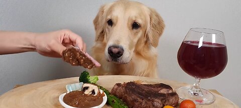 Cute dog eating food 😍🥰