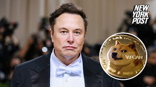 Elon Musk sued for $258 billion over dogecoin 'pyramid scheme'
