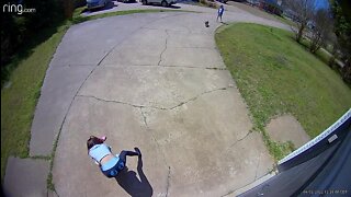 GRAPHIC WARNING: Tulsa Animal Welfare investigate Ring video showing woman beating dog