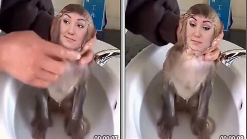 So Best funny monkey amazing video