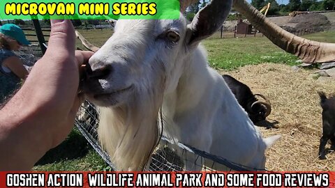 Micro Van (SE2 E03) Visit Action Wildlife Center in Goshen, CT and a few food reviews