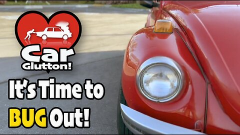 The Car Glutton: Time To BUG Out!