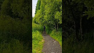 Walking through Mugdock Country Park on The West Highland Way Scotland #westhighlandway