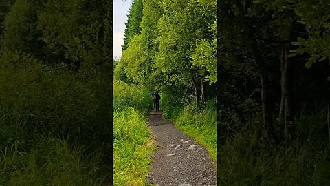 Walking through Mugdock Country Park on The West Highland Way Scotland #westhighlandway