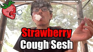 Strawberry Cough Smoke Sesh