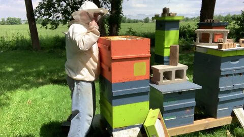 June 13, 2020-HIVE INSPECTIONS / CHECKING HONEY SUPERS