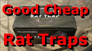 Good Cheap Rat Traps