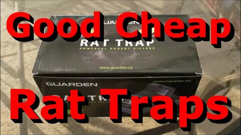 Good Cheap Rat Traps