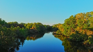 Misty morning Florida canal flyover 4K drone footage