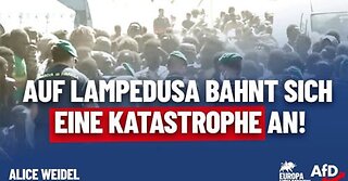 Auf Lampedusa bahnt sich eine Katastrophe an! - Alice Weidel - AfD
