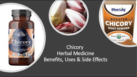 Chicory - Herbal Medicine - Benefits, Uses & Side Effects