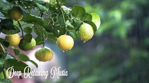 Peaceful Piano Music, Relaxing Music, Soothing Instrumental Music, Deep Focus ⚧ Calming Music