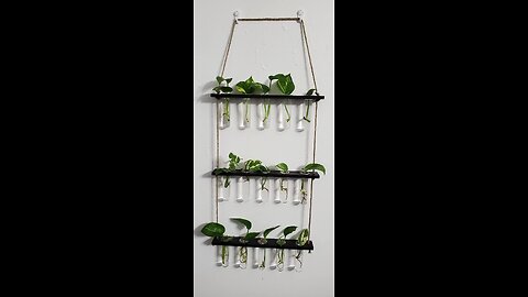 XXXFLOWER Wall Hanging Propagation Station with Wooden Stand Glass Test Tubes Tiered Planters W...
