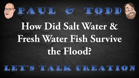 Episode 5 CLIP: How Did Salt Water & Fresh Water Fish Survive the Flood?