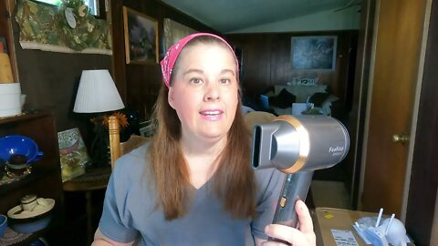 Homestead tessie reviews: Ionic Hair Dryer, Feekaa Fast Drying Blow Dryer,100 Million Negative