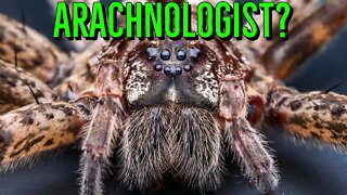 What Is An Arachnologist & How Do I Become One?