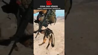 soldado pulando de helicóptero com cachorro