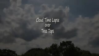 DJI Air 2S - Cloud Time Lapse over Tree Tops