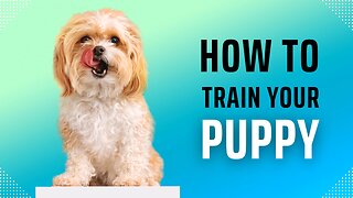 Ultimate Pet Training Guide: Unlock the Secret to a Happy & Obedient Fur Friend!Link in the describtion