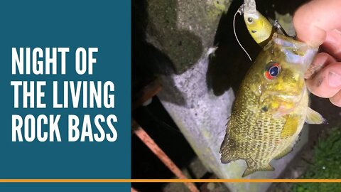 Night Of The Living Rock Bass / Night Fishing On The River