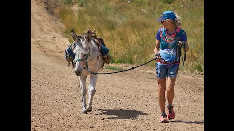 Pack Burro Race Victor, CO