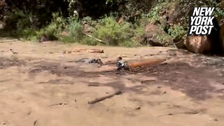 Haunting video appears to show woman being swept away at Zion National Park