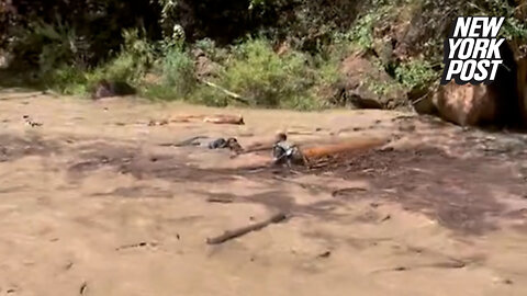 Haunting video appears to show woman being swept away at Zion National Park