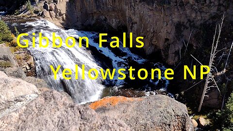 Yellowstone NP Gibbon Falls