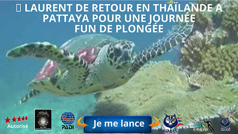 🤿 Laurent de retour en Thaïlande a Pattaya pour une journée fun de plongé