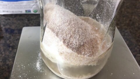 Saturday Projects™.com | Sourdough Starter 3 - Second feeding 28hrs later introduced whole wheat