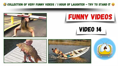 Funny videos / Collection of very funny videos / 1 hour of laughter - try to hold out