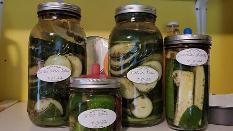 Fermented pickles