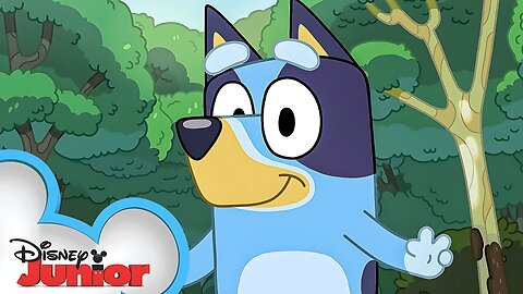 Adventure Outdoors with Bluey! | @disneyjunior