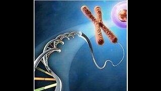 DNA manipulation to shorten human life