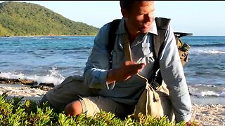 Survival! Eating wild sea purslane on Snake Island