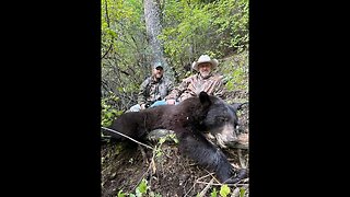 Bear incounter, Bear encounter, Fawn killer, Big Black bear hunt