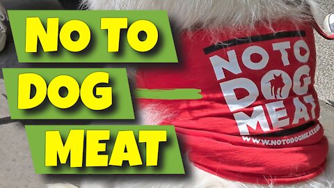 NO TO DOG MEAT PROTEST - LONDON, ENGLAND - 19TH JUNE 2020