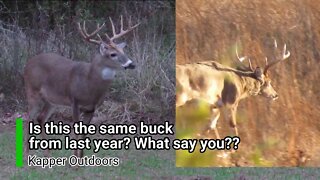 Is this the 'Double Wide' buck from last year? Deer hunting 2020 QDM