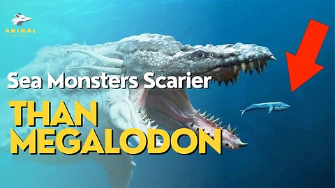 Fearsome Ocean Predators: More Scary Than Megalodon