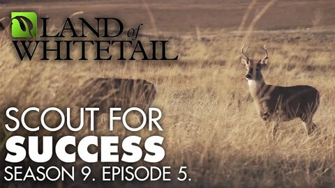 The Importance of Scouting | Land of Whitetail