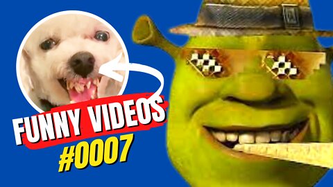 Funny Videos #0007