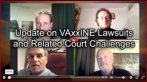 Reiner Fuellmich - Update on Vaccine Lawsuits and Court Challenges