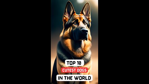 Top 10 Cutest Dogs In The World #trendingshorts #dog #cutedog