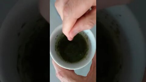 How Not to drink Moringa Powder