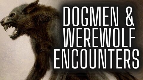 Let’s Talk About the Dogman and Werewolves