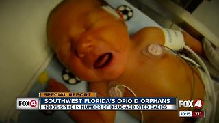 Opioid Orphans: How the opioid epidemic is affecting children in Southwest Florida