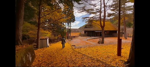 Beautiful village in Japan✨😍