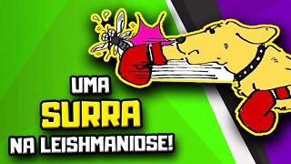 Alimentação Natural para Cachorro com Leishmaniose | Dr. Edgard Gomes