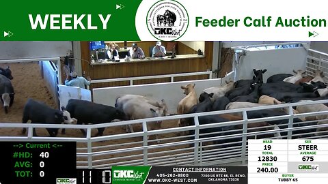 10/18/2023 - OKC West Feeder Calf Auction