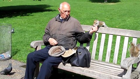 Man feeding squirrels at St. James's Park, London